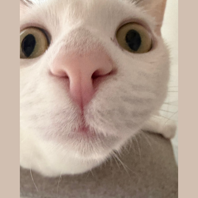 Photo of Agatha