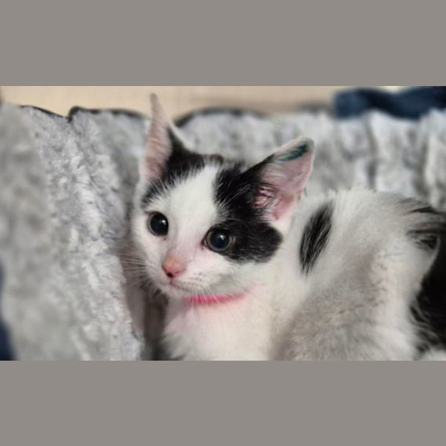 Photo of Maggie