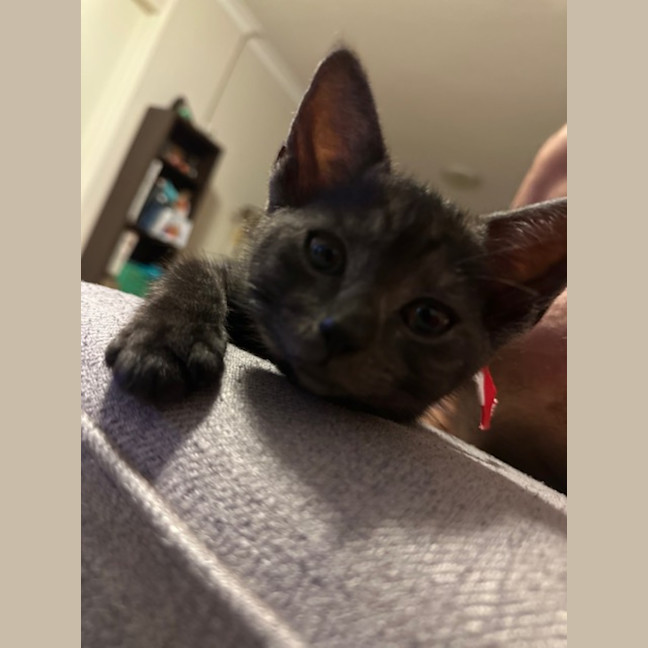 Photo of Kira