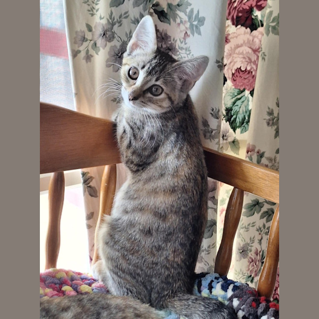 Photo of Delta