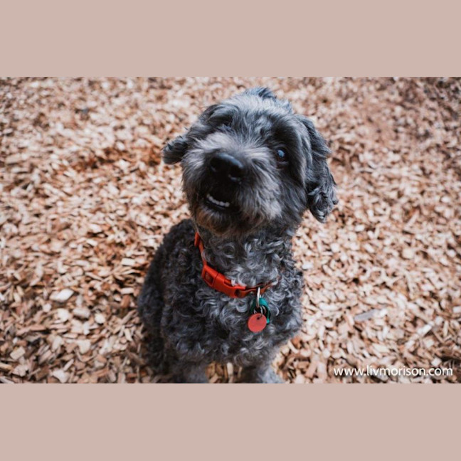 Photo of Oscar And Annika Newhaven