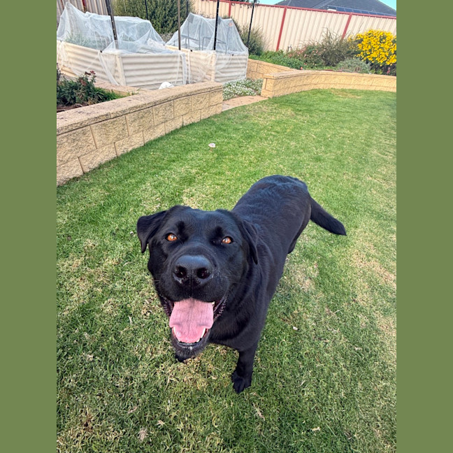 Photo of Rubee