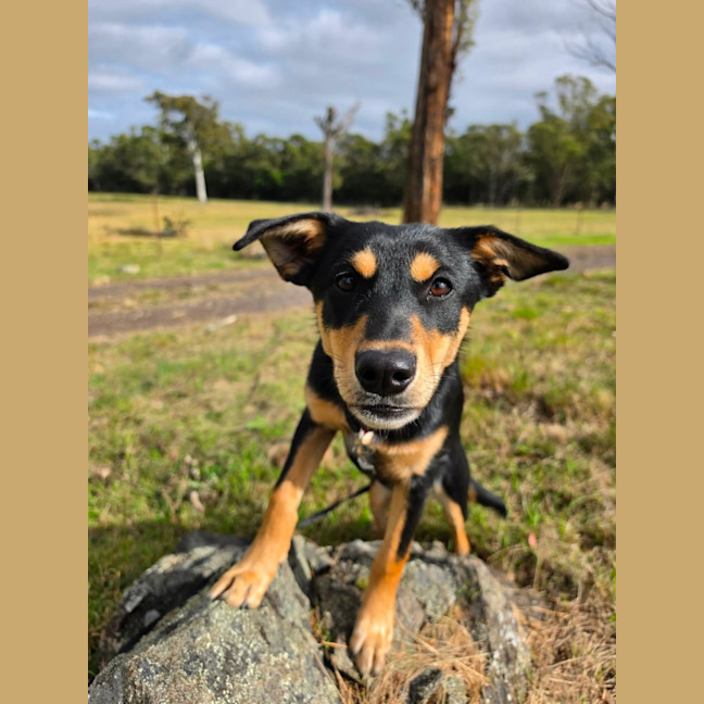 Photo of Pia
