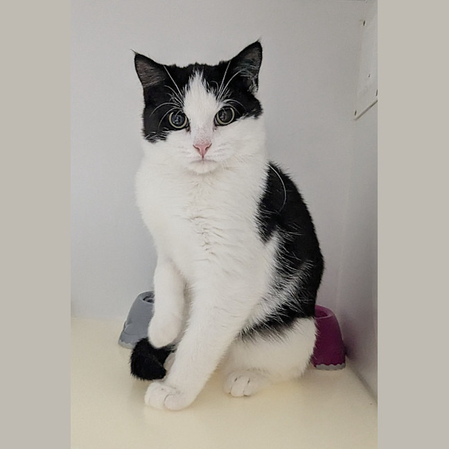 Photo of 🥇 Hulu 6043 🥇