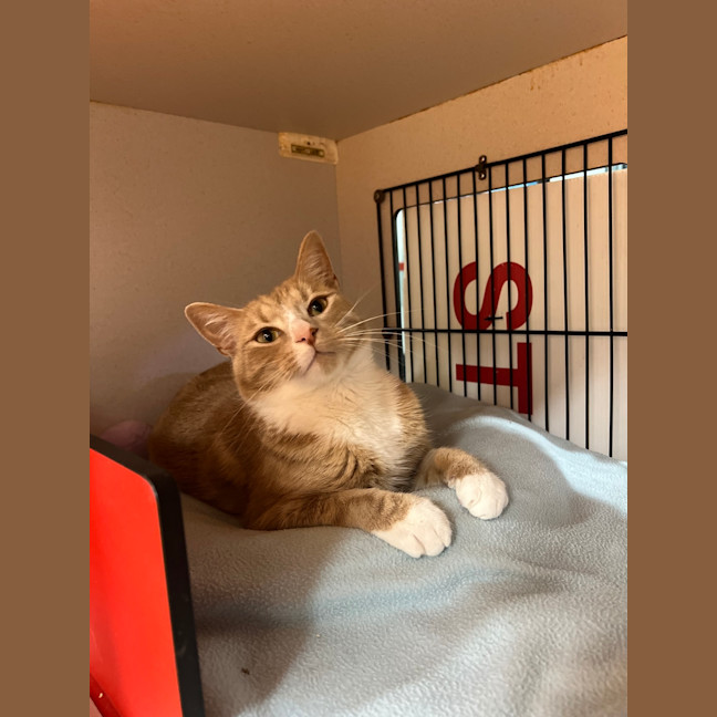 Photo of Kevin 