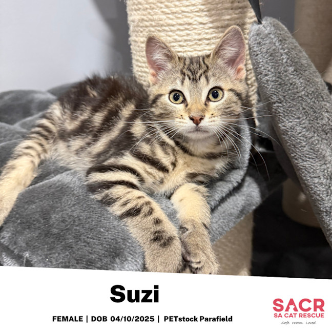 Photo of Suzi
