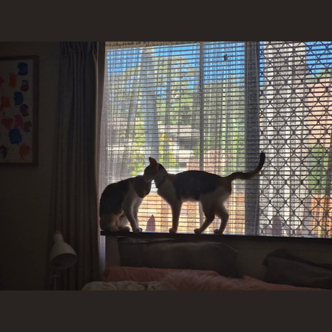 Photo of Holly & Angel