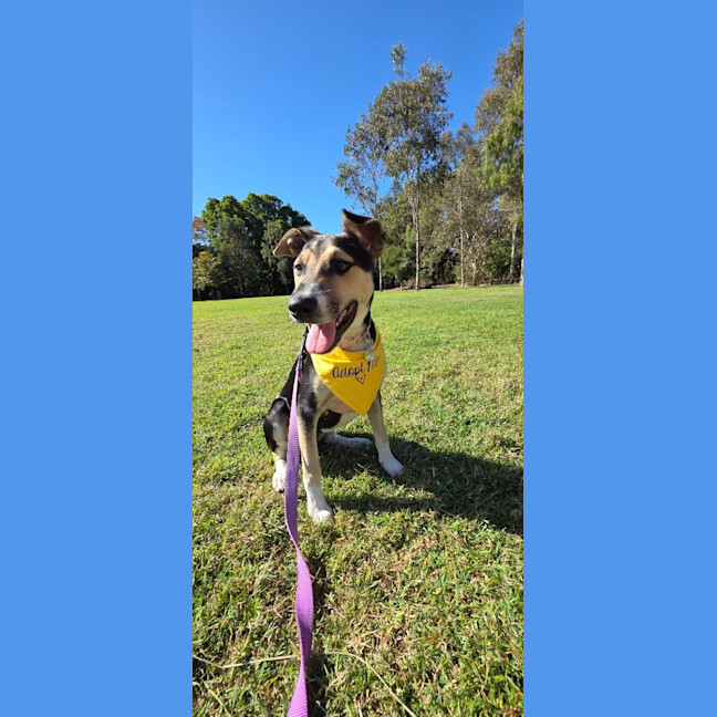 Photo of Zara