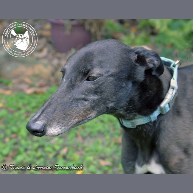 Photo of Conno (Kevin's Girl)