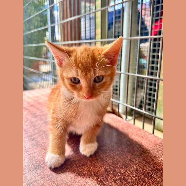 Photo of Rupert! 🫚 