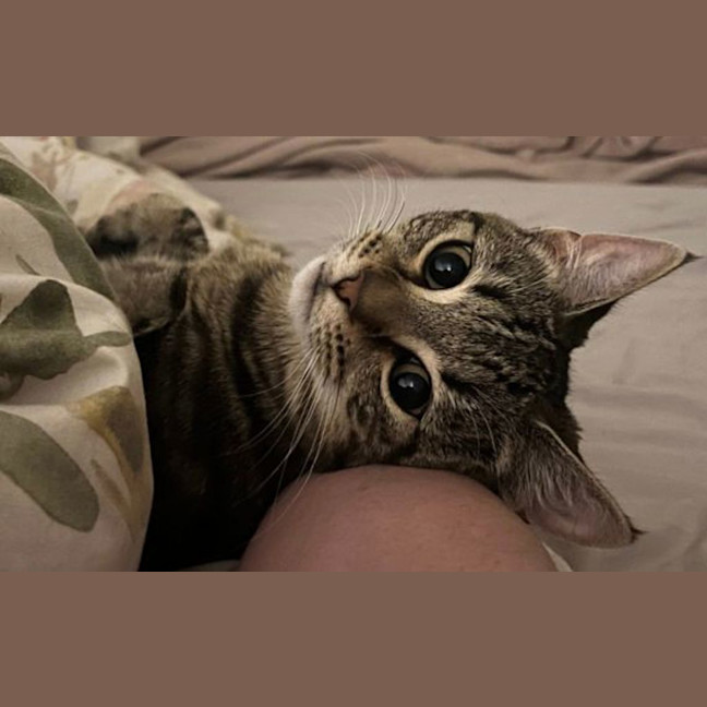 Photo of Mimi