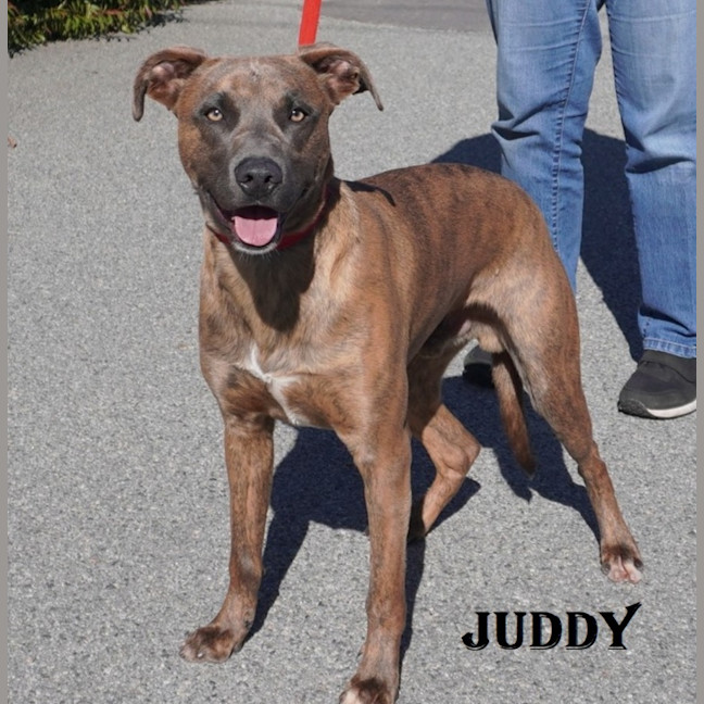 Photo of Juddy