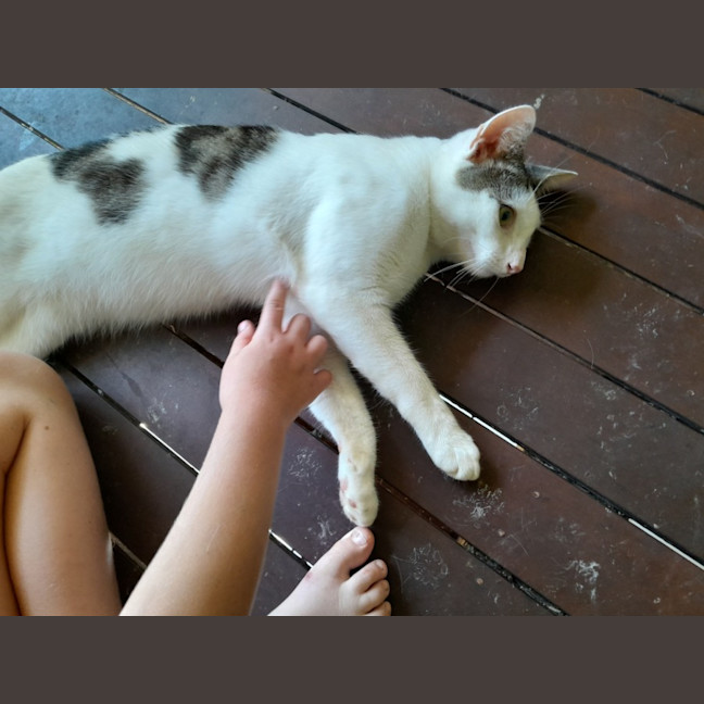 Photo of Mr Waffleton 