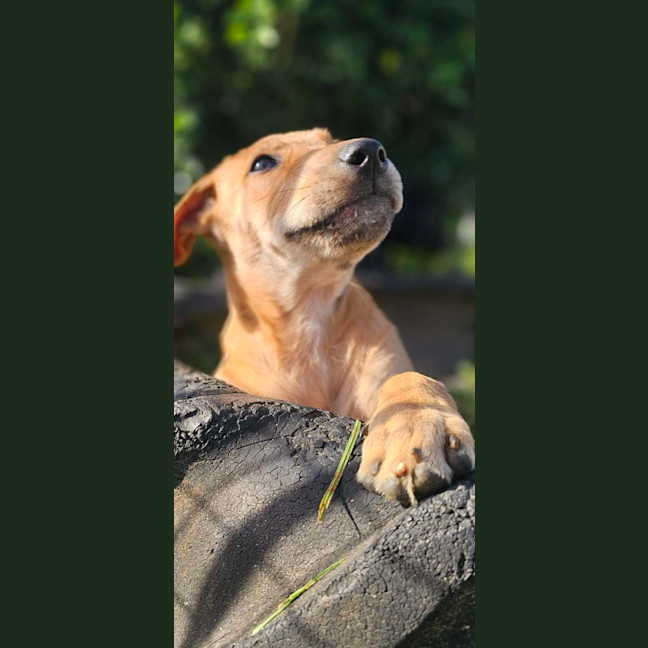 Photo of Statler