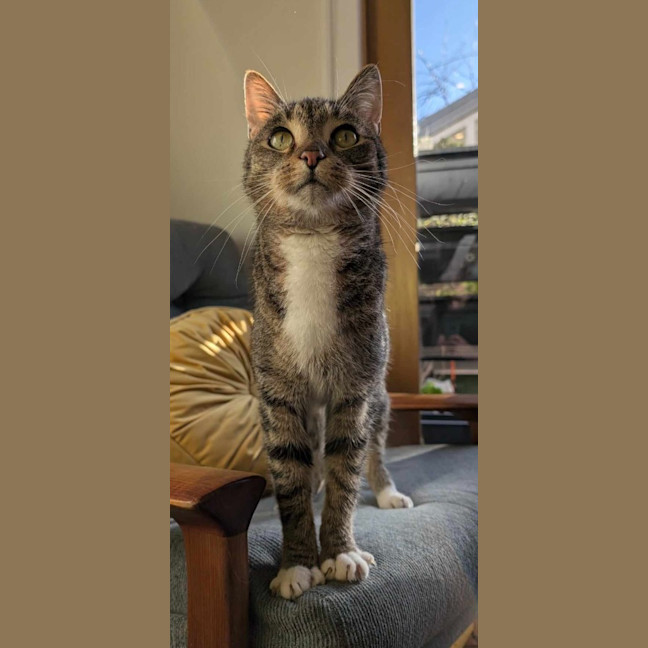 Photo of Monty