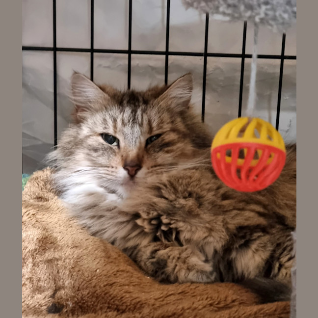 Photo of Evie