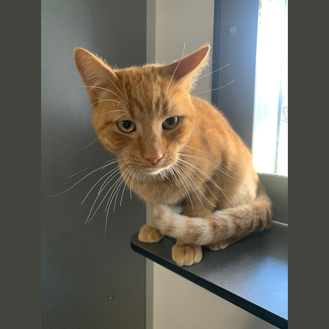 Photo of Fergus
