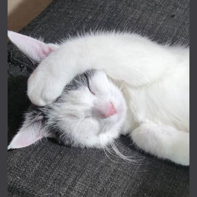 Photo of Lexie