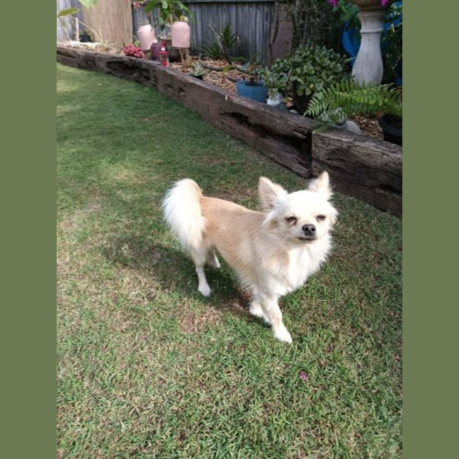 Photo of Reeba And Allan 