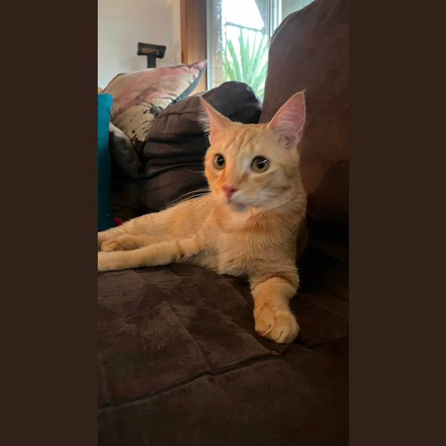 Photo of Rory