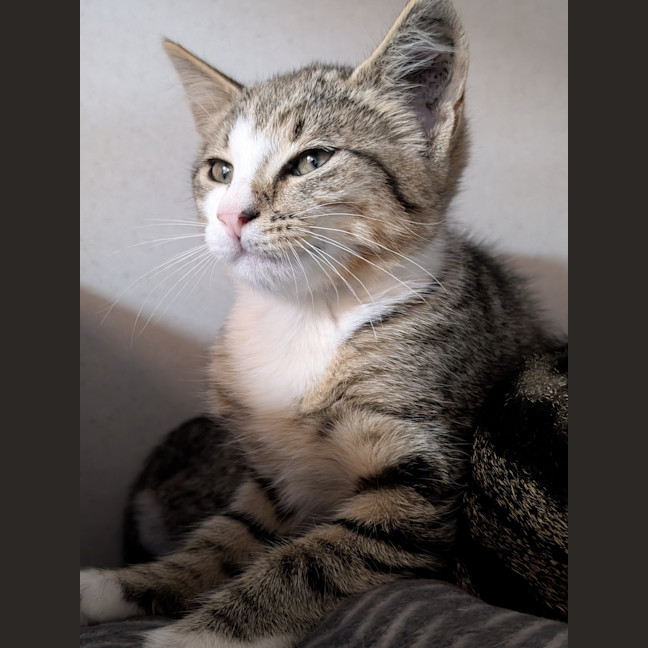 Photo of Celeste