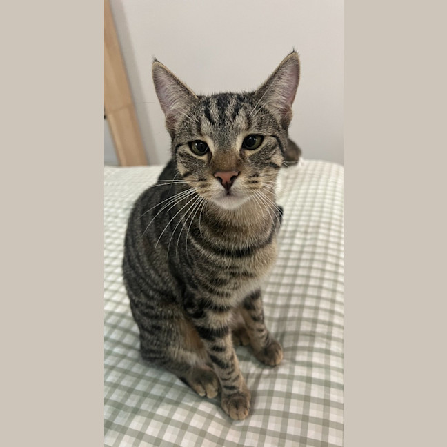 Photo of Reggie