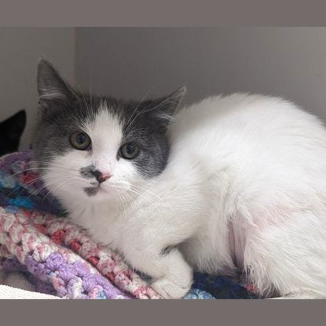 Photo of Mae