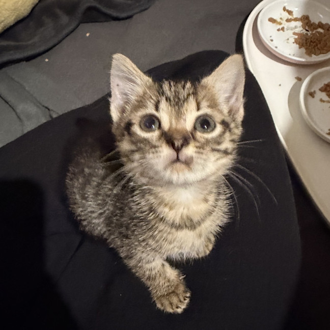 Photo of Hans