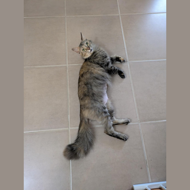 Photo of Queenie♥️