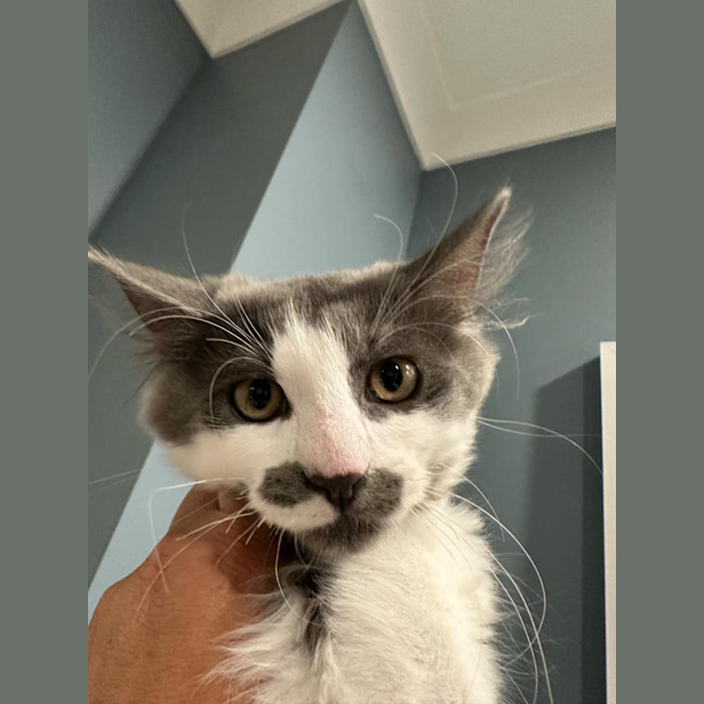 Photo of Mo Babes Meet Me@Hastings Petstock 