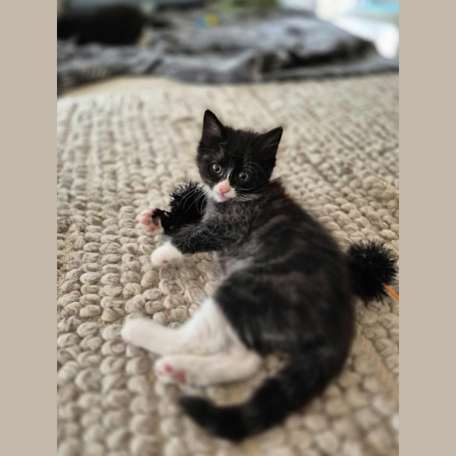 Photo of Mabel