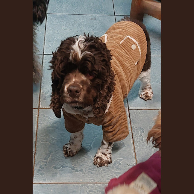 Photo of Simmy