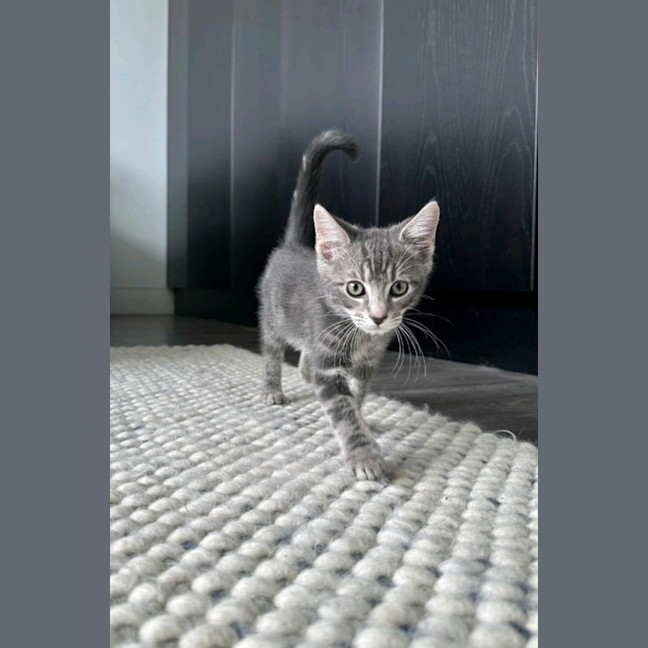 Photo of Murphy
