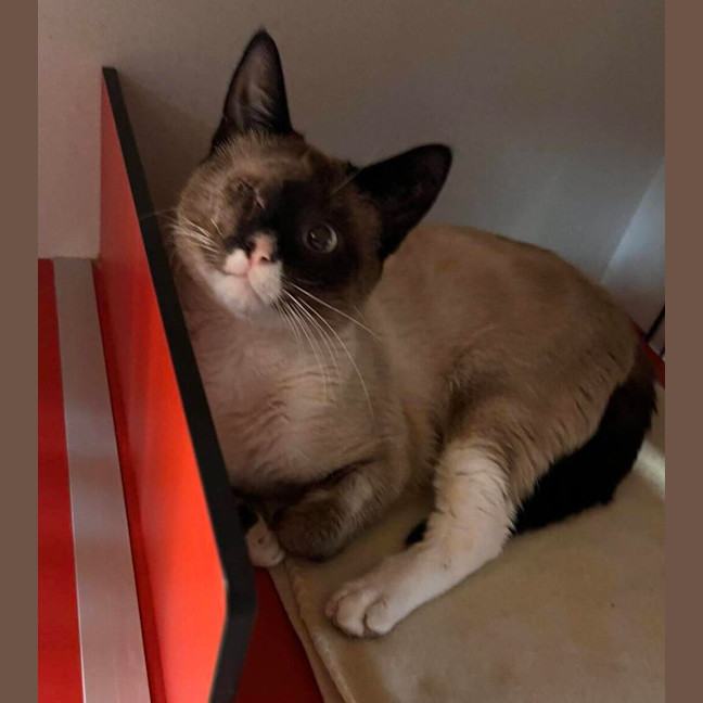 Photo of Leo