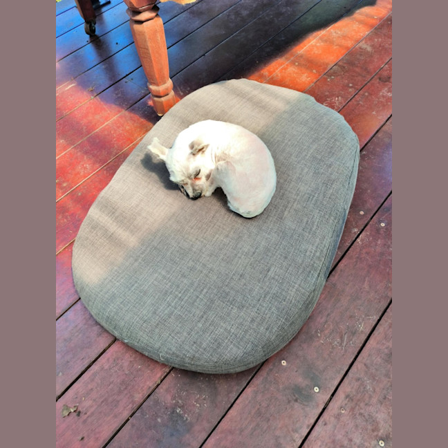Photo of Doohickey