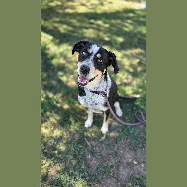 Photo of Milly
