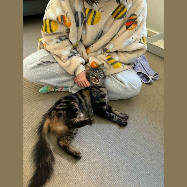 Photo of Charlie