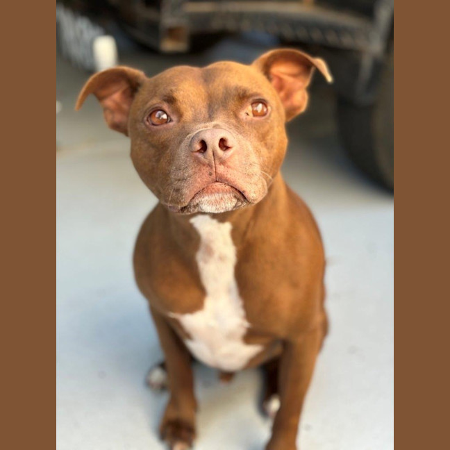 Photo of Randall Bulleau