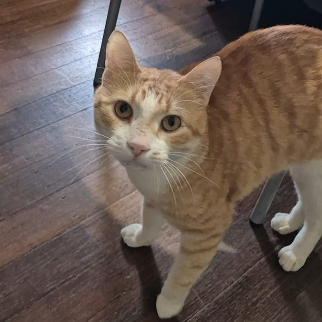 Photo of Kevin