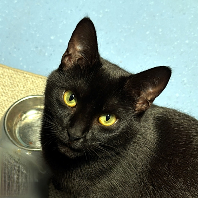 Photo of Mariana Sta013562