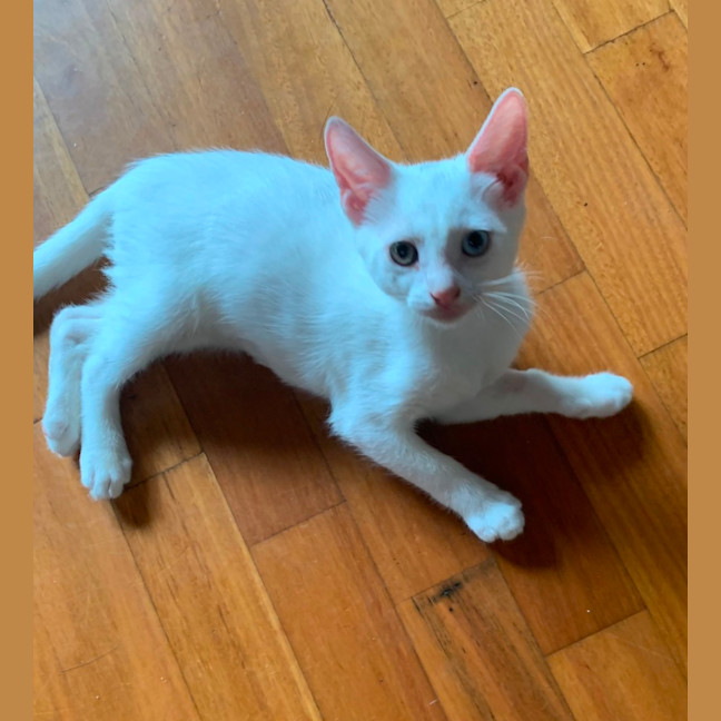 Photo of Ace 🤍🐻‍❄️🐻‍❄️