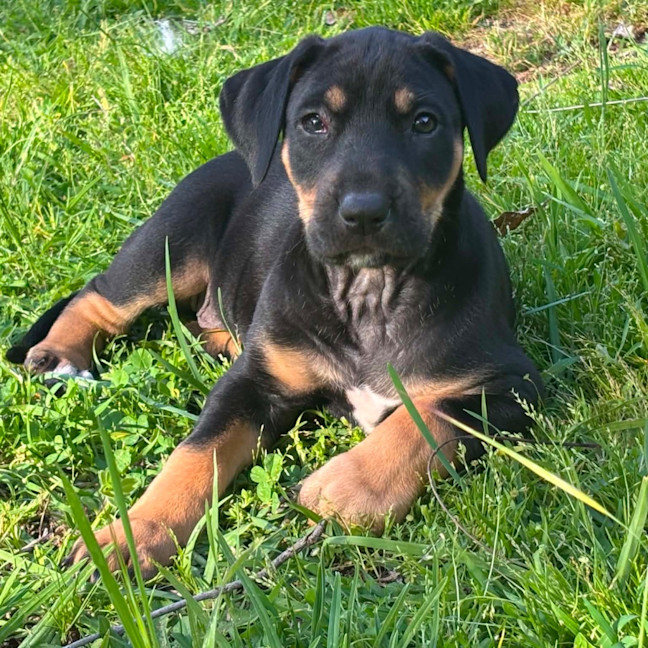 Photo of Kleo