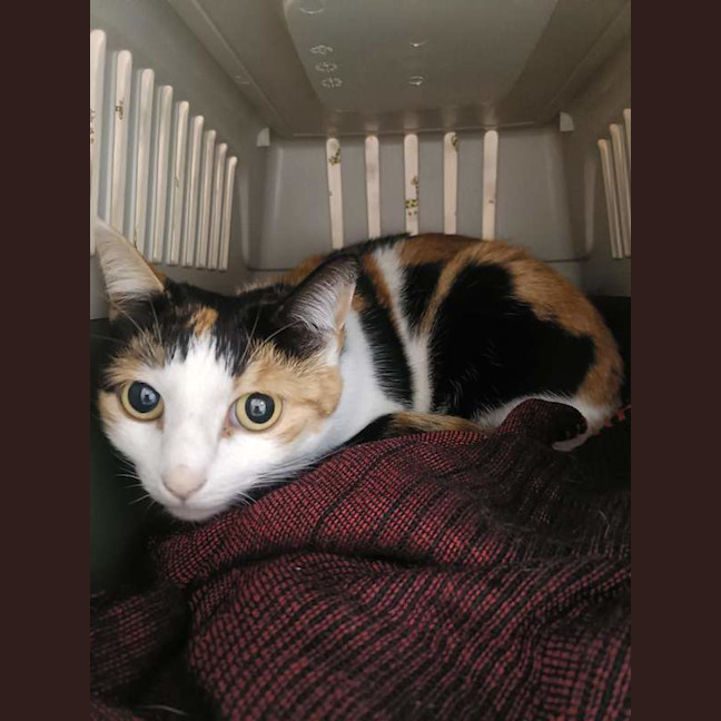 Photo of Sally