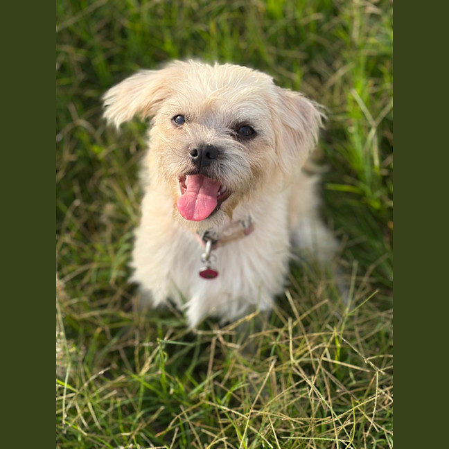 Photo of Emmy