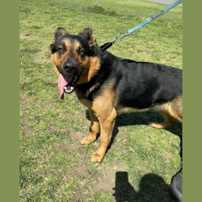 Photo of Hercules (66966)