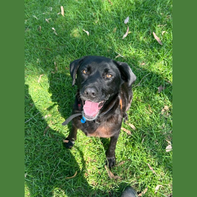 Photo of Peggy
