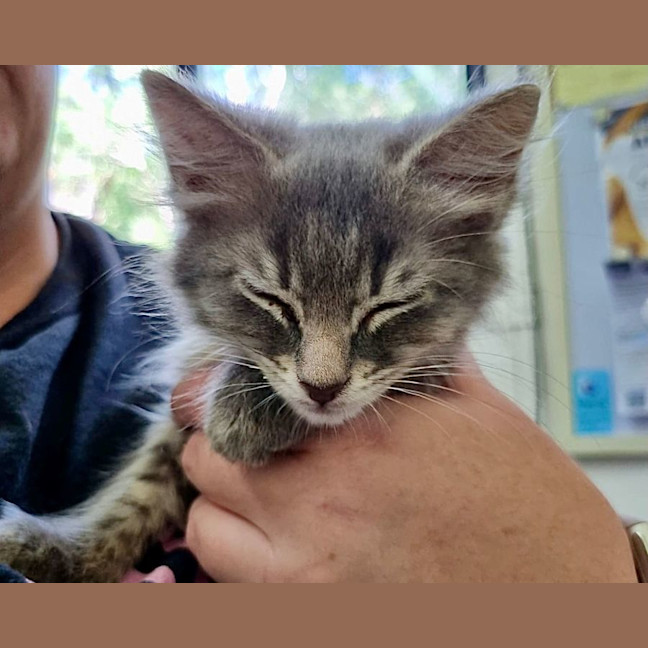 Photo of Bennie & The Jets