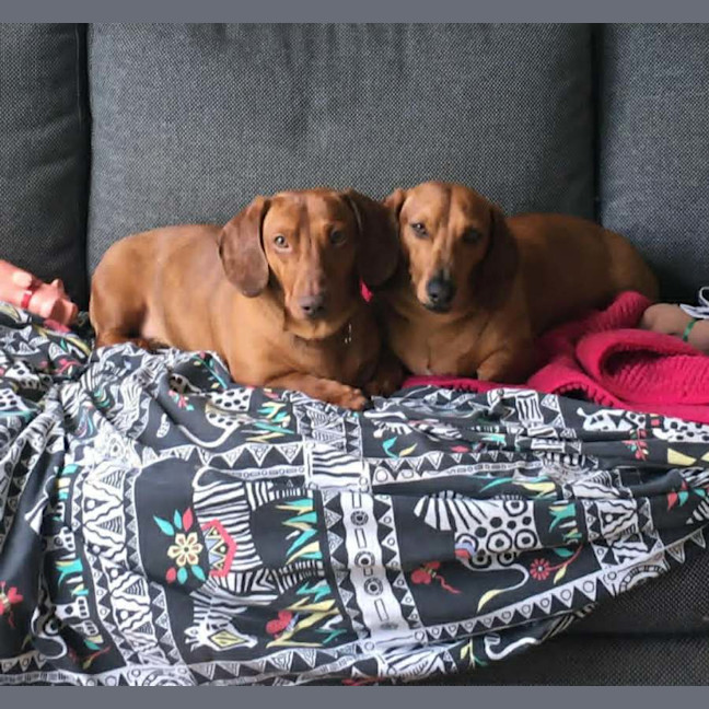 Photo of Duke And Mack