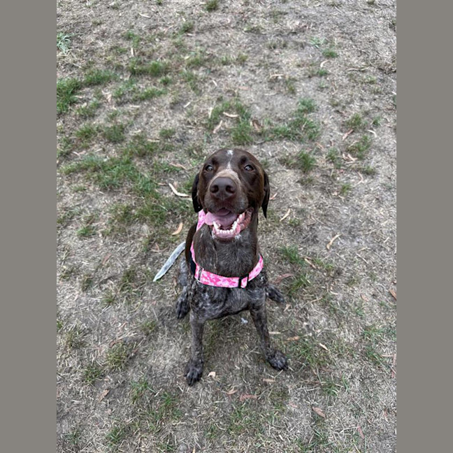 Photo of Nala