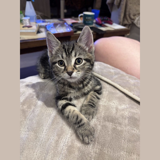 Photo of George   Reviewing Applications